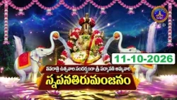 Sri Padmavathi Ammavari Snapanatirumanjanam || Tiruchanoor || 11-10-2026 || SVBC TTD