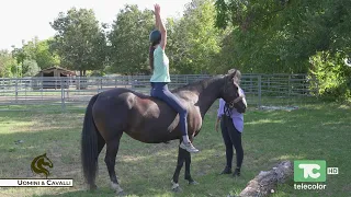 il cavallo che cura: quando la relazione diventa terapia