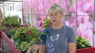 Ljekari upozoravaju: Novi toplotni val donosi ekstremne temperature u BiH
