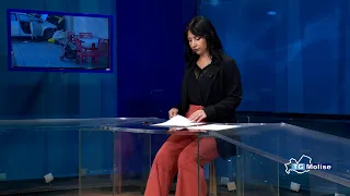 Molise News at 2:00 PM on 09/05/2026