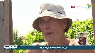 Weather vs. the Garden