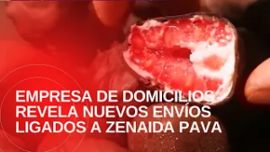 Caso de frambuesas con talio: empresa de domicilios revela nuevos envíos ligados a Zenaida Pava