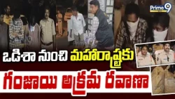 ఒడిశా నుంచి మహారాష్ట్రకు గంజాయి అక్రమ రవాణా | Eight Bags of Ganja Seized in Kakinada | Prime9 News