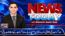 Why Did PTI-Government Talks Fail? Who Is Responsible?