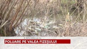 POLUARE PE VALEA FIZEŞULUI