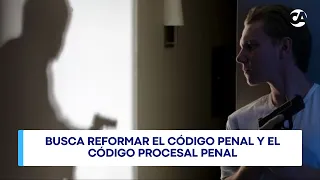 New bill introduced to prevent imprisonment in self-defense cases
