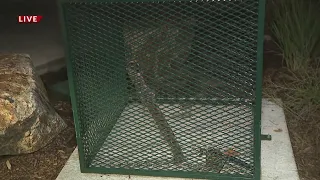 Vandals cause flooding at Bennett's Civic Center Park