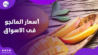لعشاق المانجو    شوف آخر أسعار العويس والسكري والكيت والزبدة    بث مباشر
