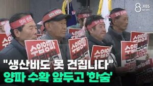 "생산비도 못 건집니다" 양파 수확 앞두고 '한숨'/JIBS/제주/2026.03.05