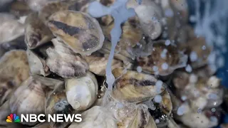 Flesh-eating bacteria kills one person in Florida