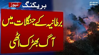 Major Wildfires Break out Across British Forests, Heathland | SAMAA TV