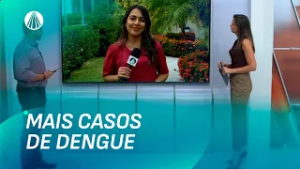 Brasil pode registrar quase 2 milhões de casos de dengue | TJ Aparecida