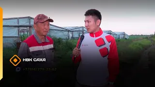 «Сайылык» (12.08.26)