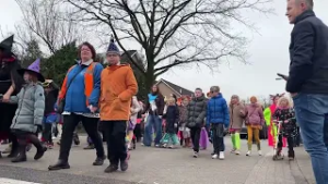 20260213 Haaksbergen Carnavalsoptocht Kameleon