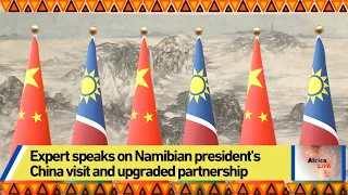 Expert speaks on Namibian president's China visit and upgraded partnership
