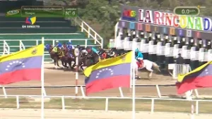 6ª. carrera | 2ª. válida | ETNA'S NAPPER (USA) | Hipódromo La Rinconada | Reunión 05 | 2026