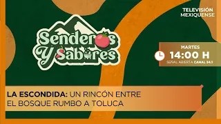 La Escondida: A Hidden Gem in the Forest on the Way to Toluca | Trails and Flavors | 07-21-2026