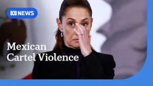 Mexican President considers legal action against Elon Musk after cartel claims | ABC NEWS