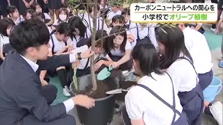 Elementary Students Plant Olive Trees on "Carbon Neutral Day for the Future" to Raise Environment...