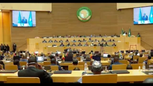 African leaders call for financing to combat malaria and save lives