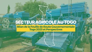 AGRICULTURAL SECTOR IN TOGO