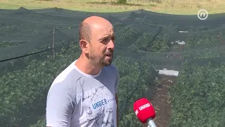 Nevrijeme opustošilo Nevesinje za samo 10 minuta