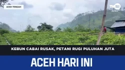 Chili Farm Damaged, Farmer Loses Tens of Millions | Aceh News Today