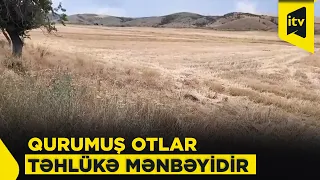 Qurumuş otlar yolkənarı əkin sahələrini risk altında qoyur