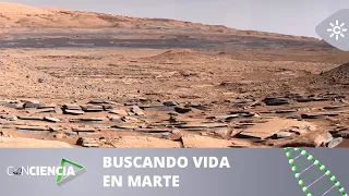 0000156110___conciencia-09132026_0834_0000