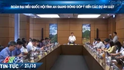 AN GIANG NATIONAL ASSEMBLY DELEGATION CONTRIBUTES OPINIONS ON DRAFT LAWS