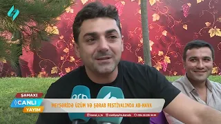 Şamaxıda Üzüm və Şərab Festivalı keçirilib | Canlı Yayım