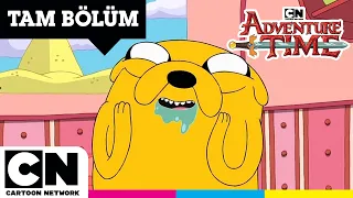 ADVENTURE TIME | Tombiş Fil | TAM BÖLÜM | @cartoonnetworkturkiye