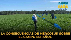 La consecuencias de Mercosur sobre el campo español