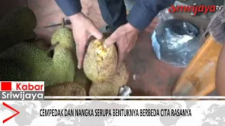 Cempedak and Jackfruit Look Alike, but Their Tastes Differ