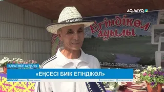 «ЕҢСЕСІ БИІК ЕГІНДІКӨЛ»