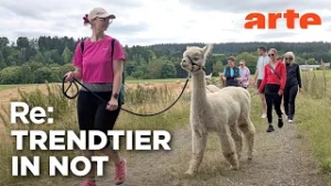 Der Hype ums Alpaka | ARTE Re: