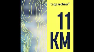 Wal-Angriffe auf Segelboote: Das Rätsel der Orcas (11KM Classic)