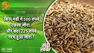 Mandi News | Cumin prices jump by 500 rupees in farmer markets, while dipping by 225 rupees elsew...