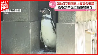 "I might just melt": Kumamoto experiences blistering heat near record levels; Botanical Garden de...