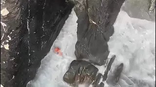 Disperso in mare a Bogliasco, era in una grotta: il video del salvataggio della Guardia Costiera
