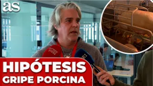 La HIPÓTESIS del caso de CONTAMINACIÓN de GRIPE PORCINA