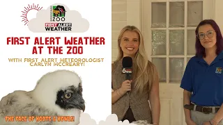 First Alert Weather Extra is having a hoot at the zoo!