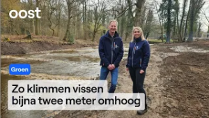 Nieuwe vispassage op unieke locatie langs de Dinkel | RTV Oost