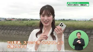 県政だよりみえ2026年6月号