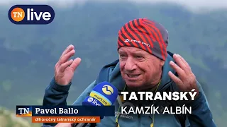 Albíni z Tatier opäť pred kamerou. Vzácne biele kamzíky majú mláďatá, exkluzívne zábery | TN live