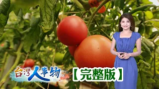 Cucumber Farmer Starts with $3,000, Uses Smartphone App to Produce Over 1,000 Tons Annually / Hig...
