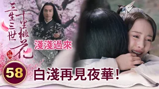 淺淺過來～白淺回到桃林再見夜華！兩人相擁而泣【三生三世十里桃花】精華 EP58-6 楊冪、趙又廷、迪麗熱巴、高偉光、張智堯 @ctvdrama_classic