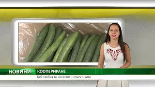 Централна емисия новини на АГРО ТВ – 10.07.2026 г.