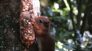 Nature Holiday, Part 2 (Naturally! 08/10/2026)