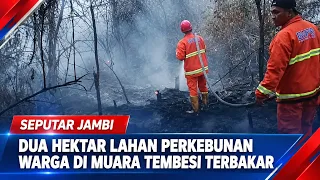 TWO HECTARES OF CITIZEN PLANTATION LAND BURNED IN MUARA TEMBESI